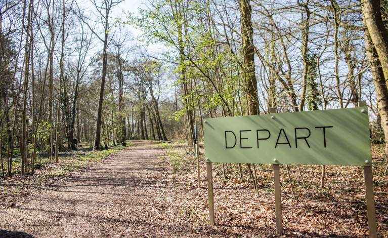 PHOTO ENVIRONNEMENT MONTIGNY FORET